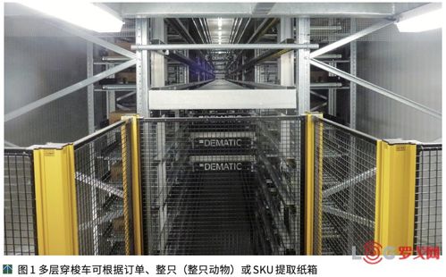 澳大利亞NCMC肉類加工廠提高競(jìng)爭(zhēng)力的秘訣 自動(dòng)化物流系統(tǒng)與計(jì)算機(jī)系統(tǒng)集成服務(wù)